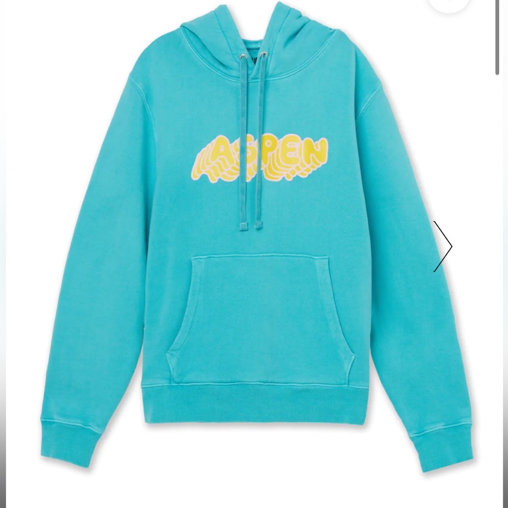 Citizens of Humanity x The Haas Brothers So High Adult Unisex Hoodie in blue